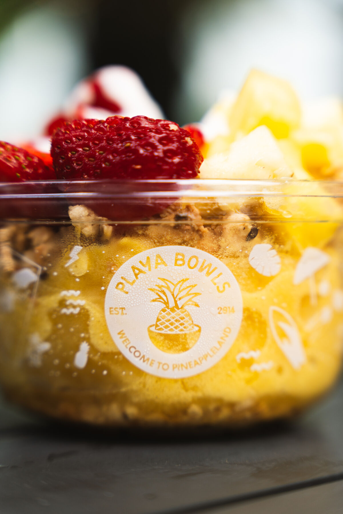 Playa Bowls product line spread — full range of bowls styled together showing the brand color palette